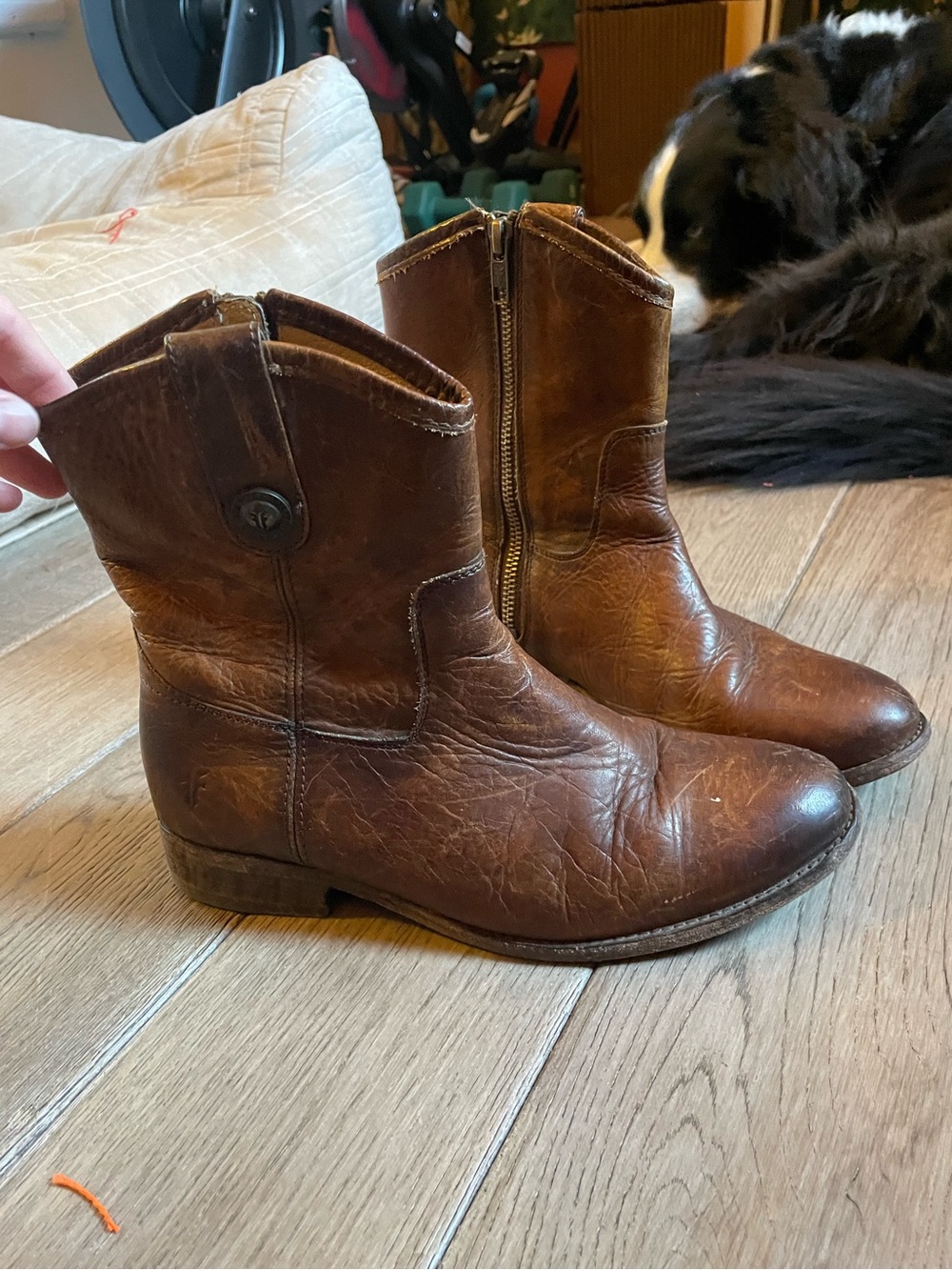 Frye Boots - Picture 2 of 4